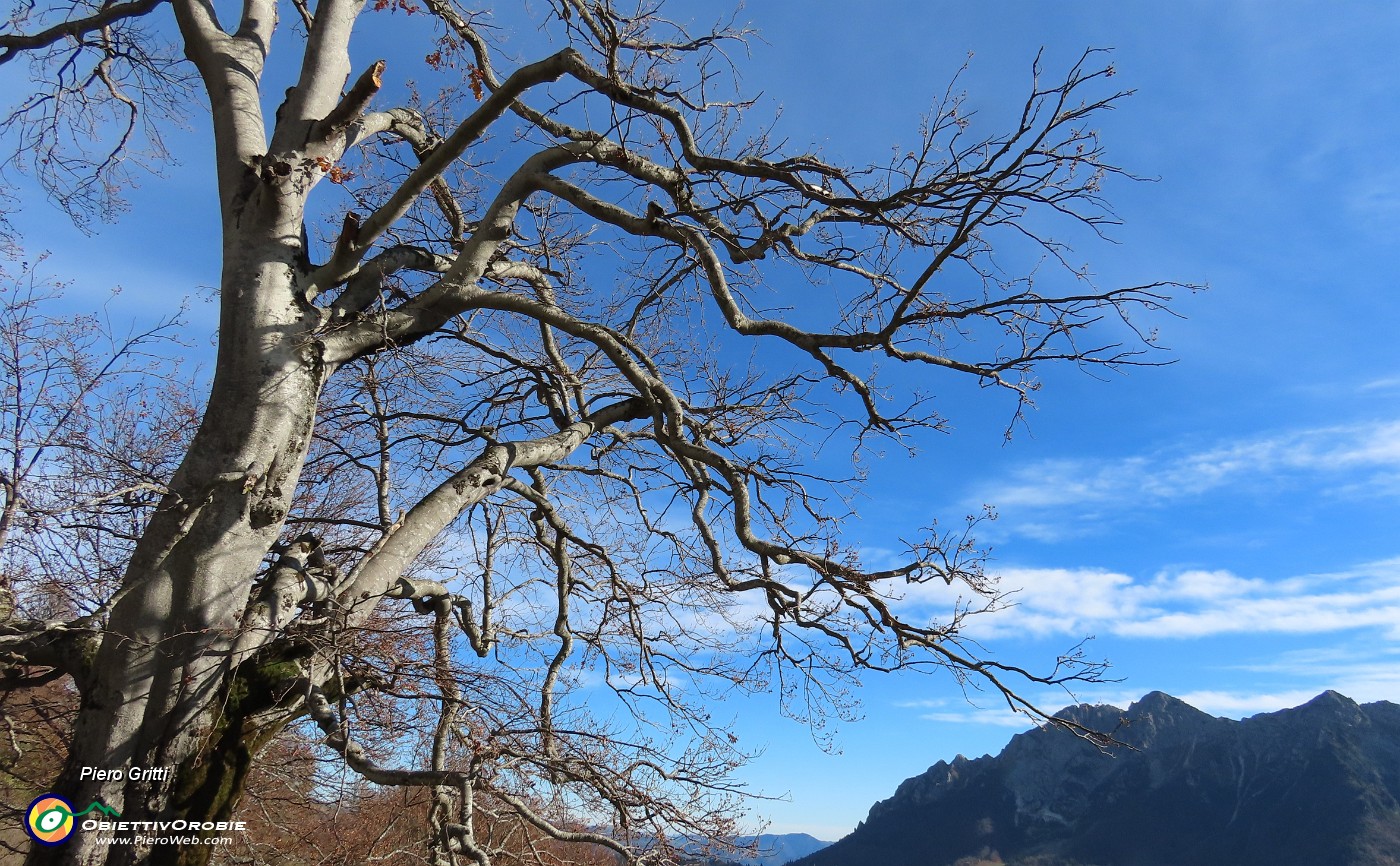 49 Bella vista in Alben.JPG